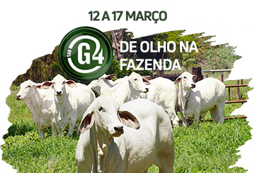 DE OLHO NA FAZENDA TABG4 - DE 12 A 17/03